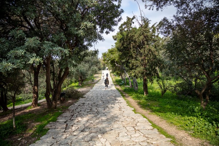 Filopappou hill, Athens, Greece, trees background.